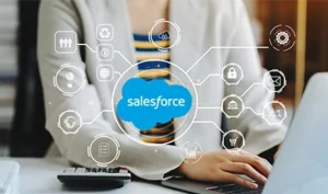 The Great IT Debate: Managed Services vs. In-House Heroes